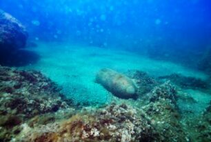 Photo of rusty metal structure lying on sea bed